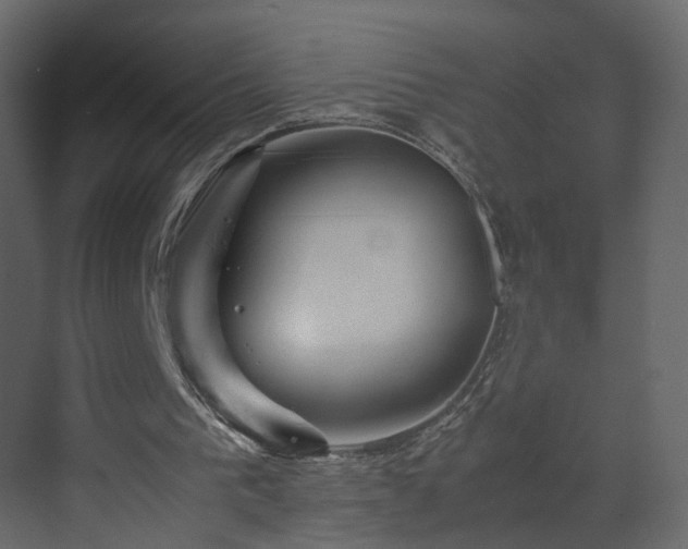 X0000070170193200605301334