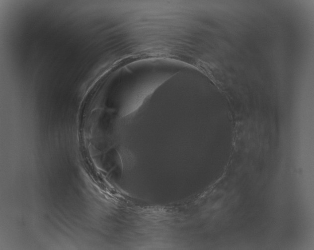 X0000070170194200605301334