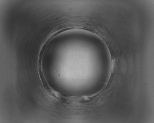 X0000070170195200605301334