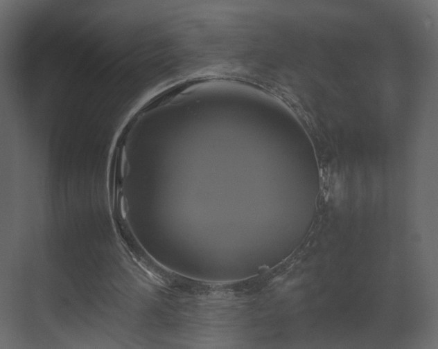 X0000070170196200605301334