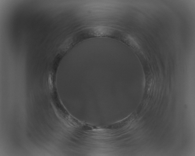 X0000070170214200605301334
