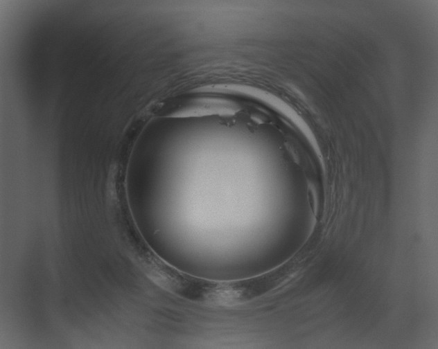 X0000070170217200605301334
