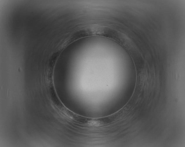 X0000070170218200605301334