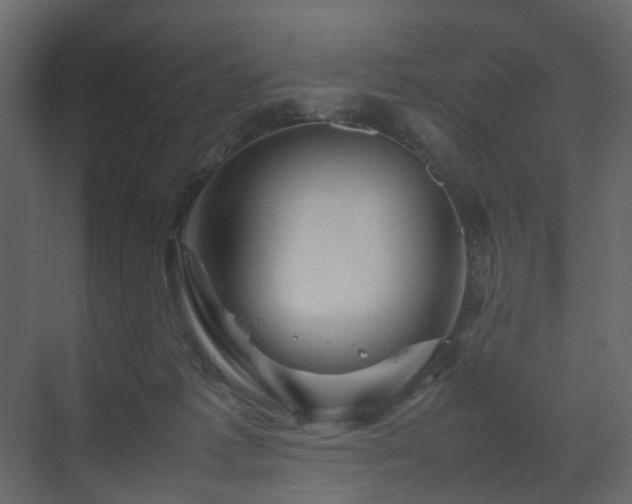 X0000070170221200605301334