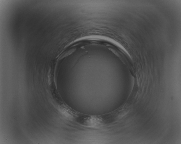 X0000070170223200605301334