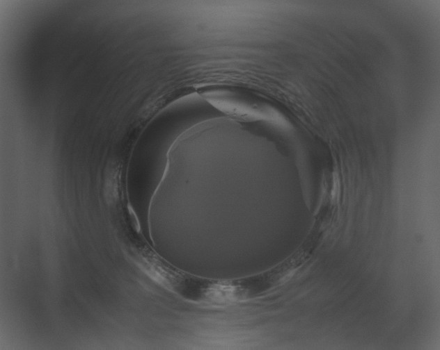 X0000070170227200605301333