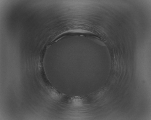 X0000070170228200605301333