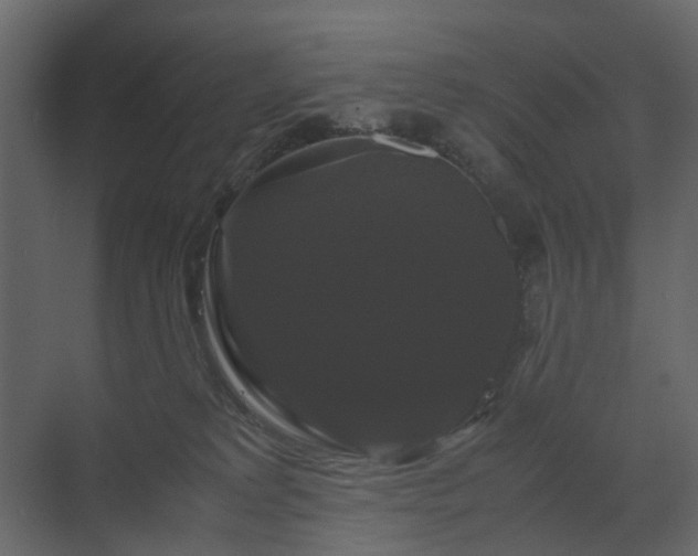 X0000070170229200605301333