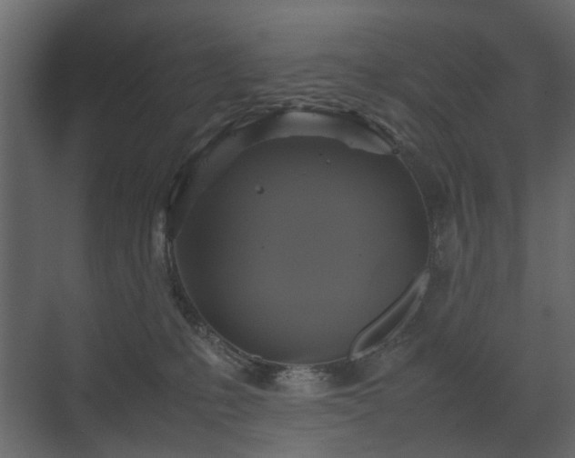 X0000070170231200605301333