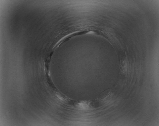 X0000070170232200605301333