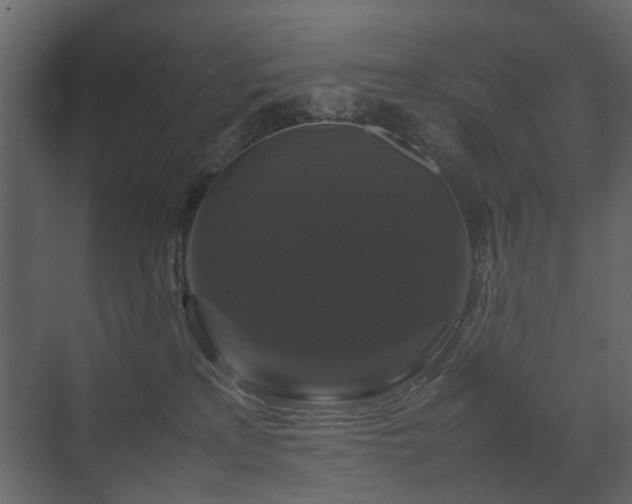 X0000070170233200605301333