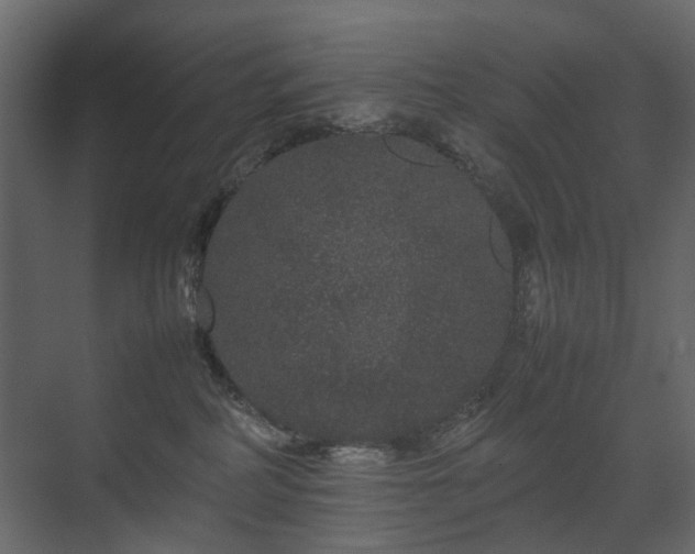 X0000070170234200605301333