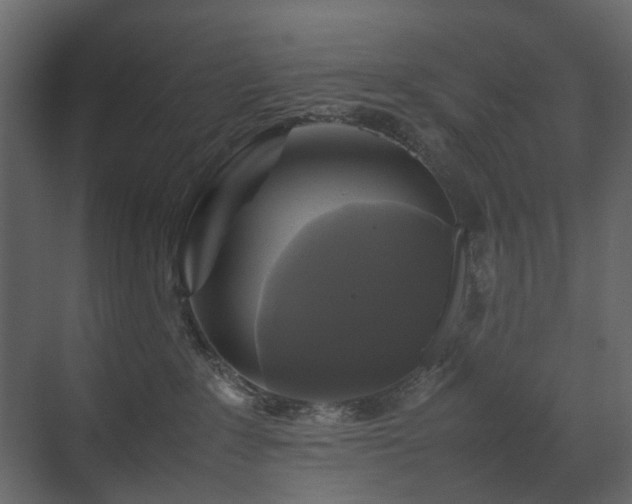 X0000070170235200605301333