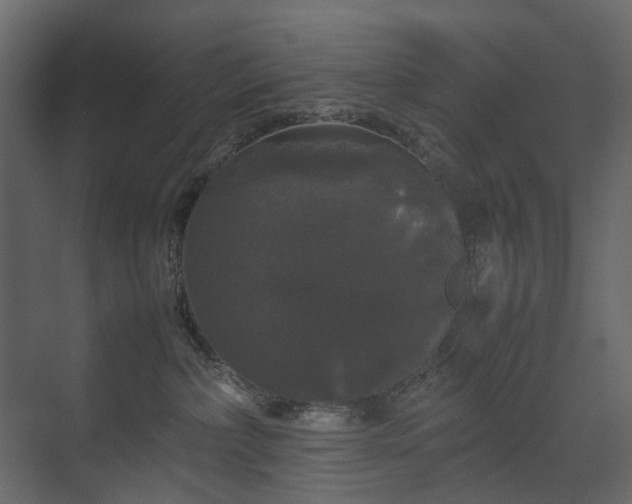 X0000070170236200605301333