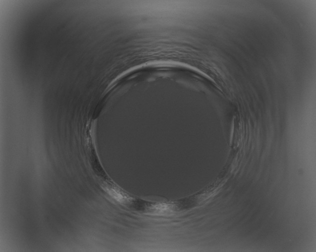 X0000070170237200605301333