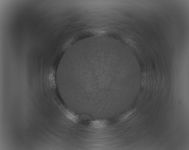 X0000070170238200605301333