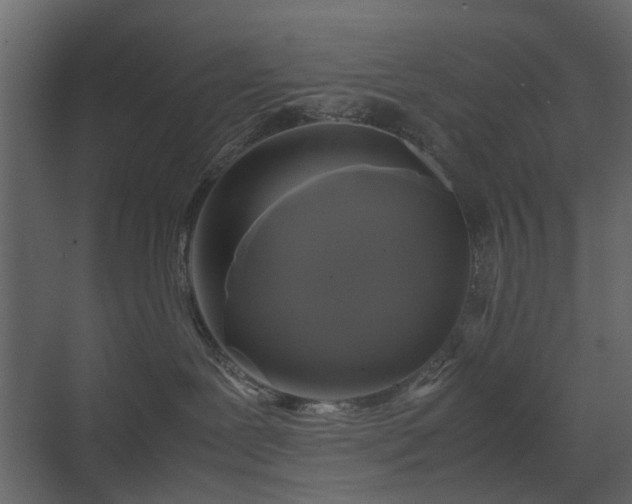 X0000070170239200605301333