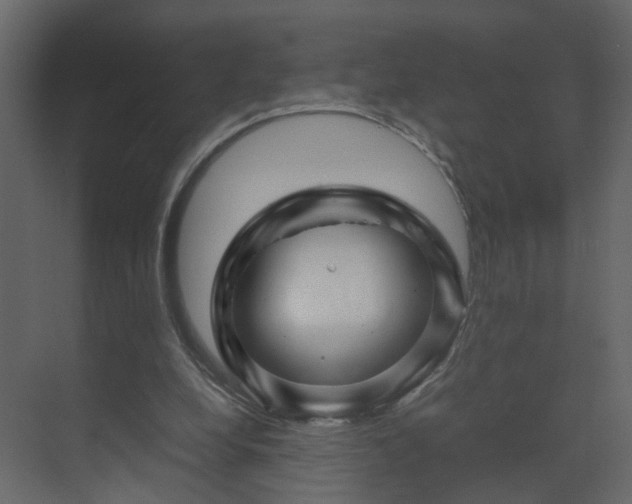 X0000070170248200605301333