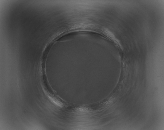 X0000070170250200605301333