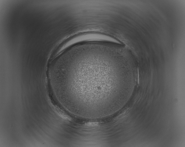 X0000070170252200605301333