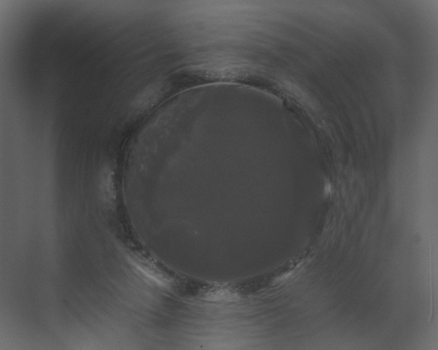 X0000070170258200605301333