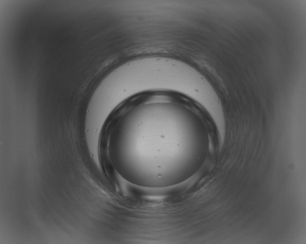 X0000070170260200605301333