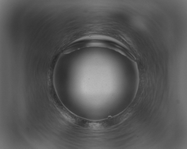 X0000070170265200605301333