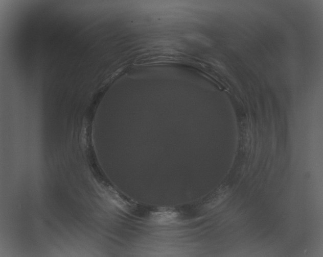 X0000070170266200605301333