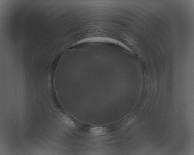 X0000070170269200605301333