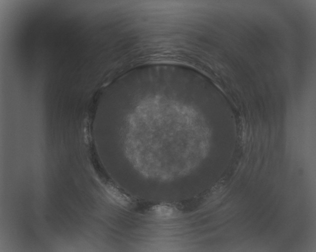 X0000070170272200605301333