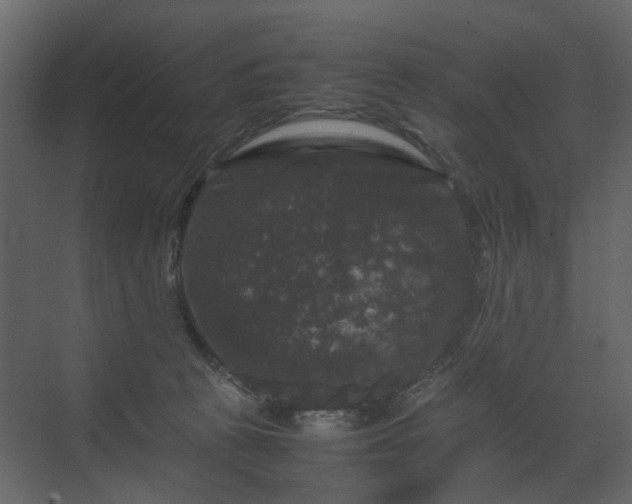 X0000070170273200605301333