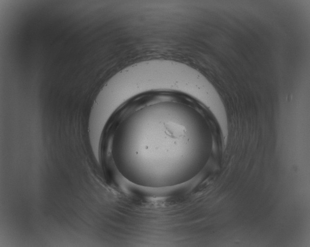 X0000070170276200605301333