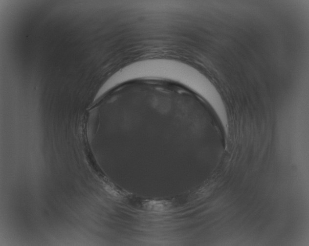 X0000070170277200605301333