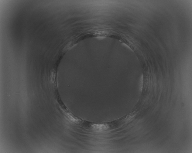 X0000070170281200605301333