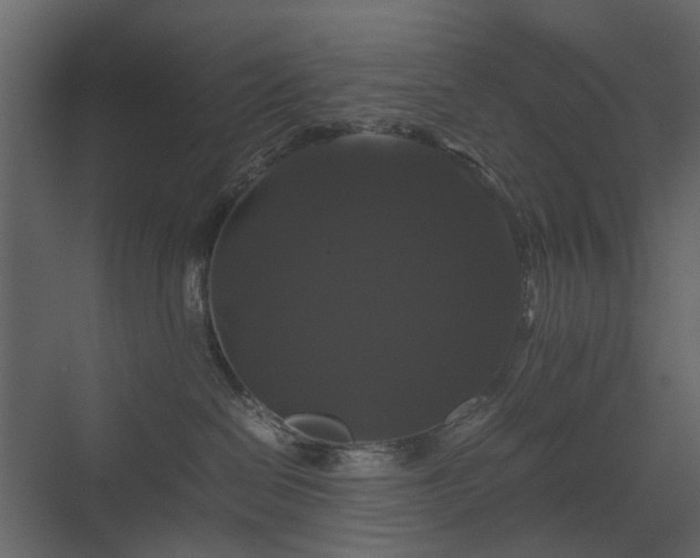 X0000070170286200605301333