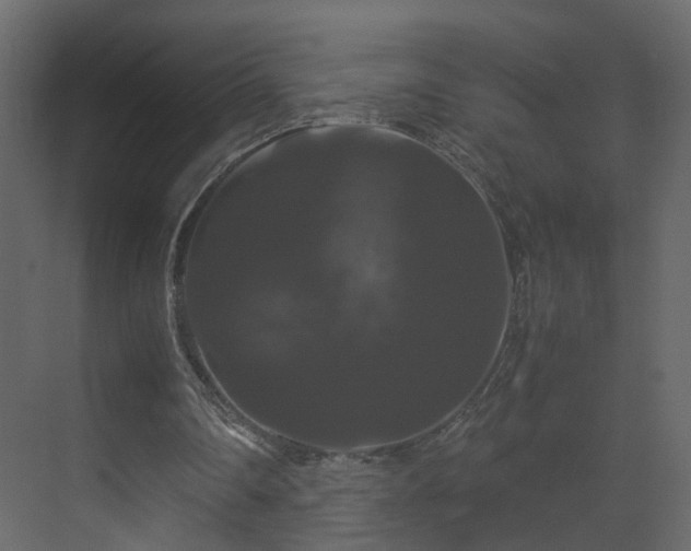 X0000070170290200605301332