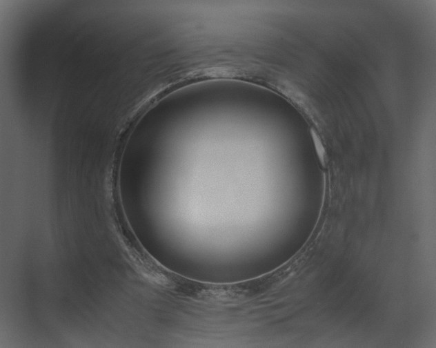 X0000070170297200605301332