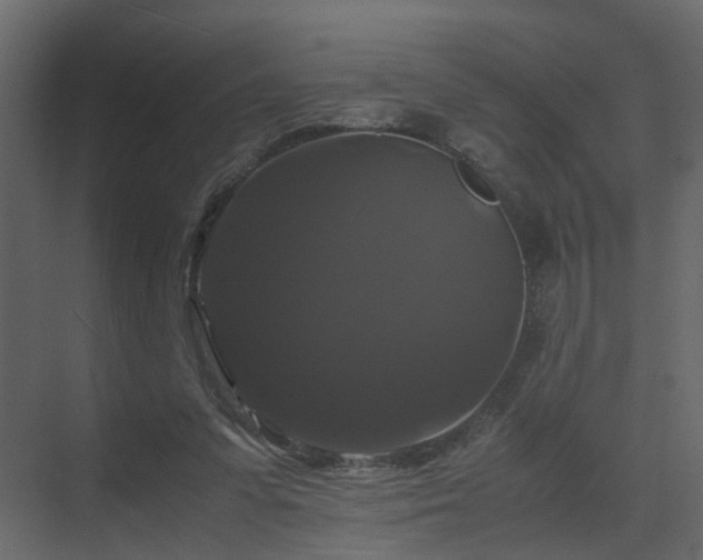 X0000070170303200605301332