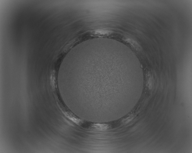 X0000070170328200605301332