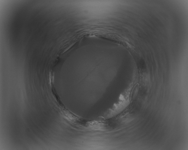 X0000070170331200605301332