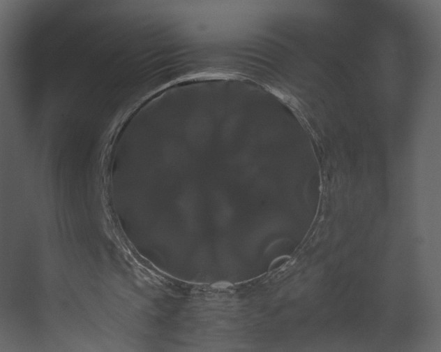 X0000070170337200605301331