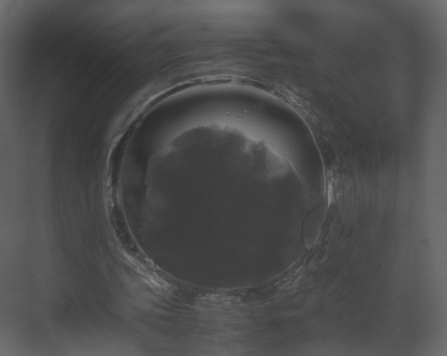 X0000070170339200605301331