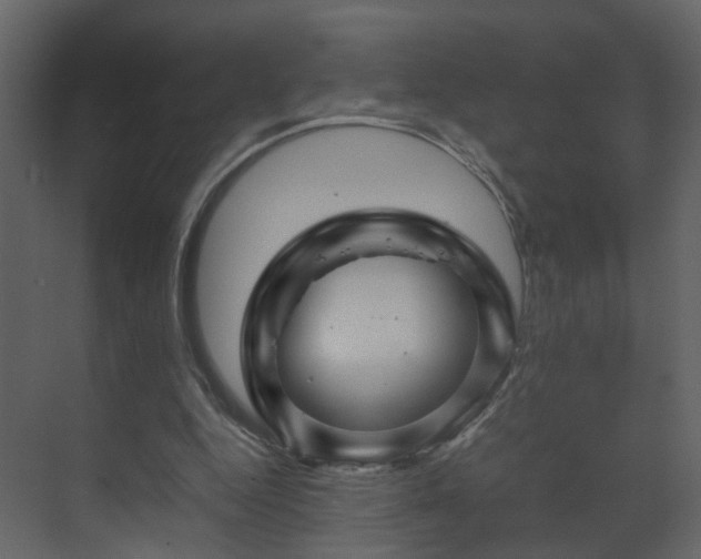 X0000070170344200605301331