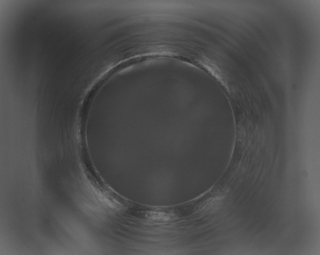 X0000070170347200605301331