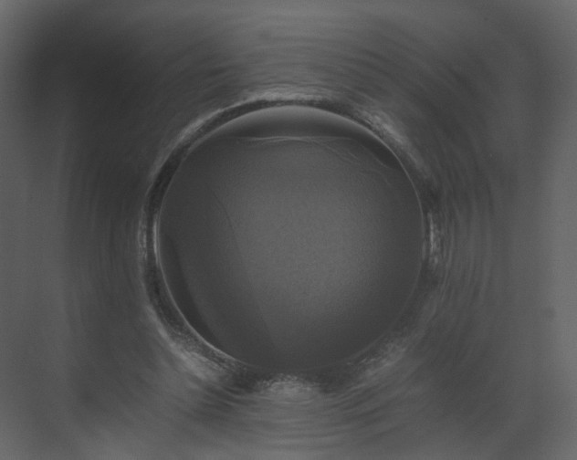 X0000070170348200605301331