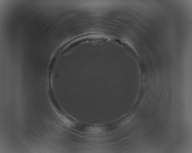 X0000070170349200605301331