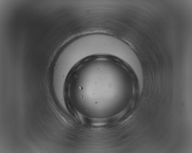 X0000070170350200605301331