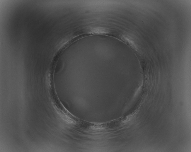 X0000070170351200605301331