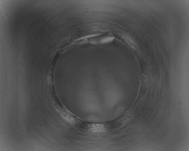 X0000070170361200605301331