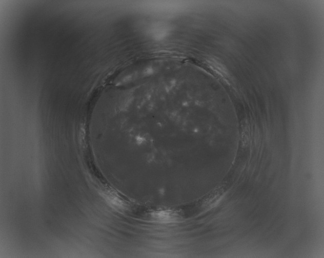 X0000070170365200605301331